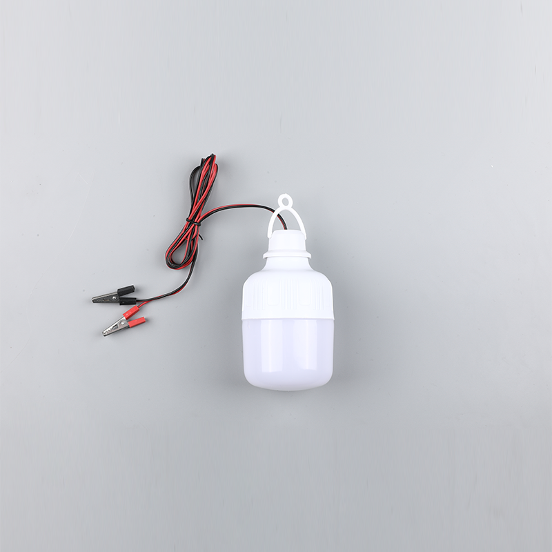 Led ampul-dc12v 24v