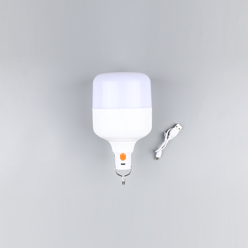 Led ampul-DC 12v 24v